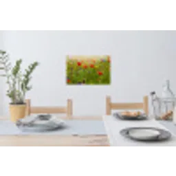 Lente - Bloemen - Rood - Klaproos - Gras - Groen Muursticker klein -eettafel