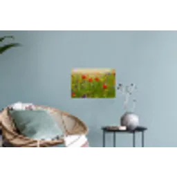 Lente - Bloemen - Rood - Klaproos - Gras - Groen Muursticker klein -plant